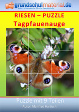 Riesenpuzzle_Tagpfauenauge.pdf